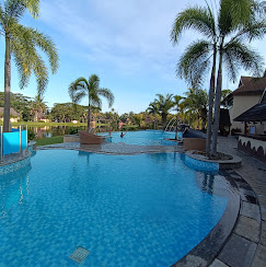 Swimming pool surrounded by palm trees at a Kerala resort